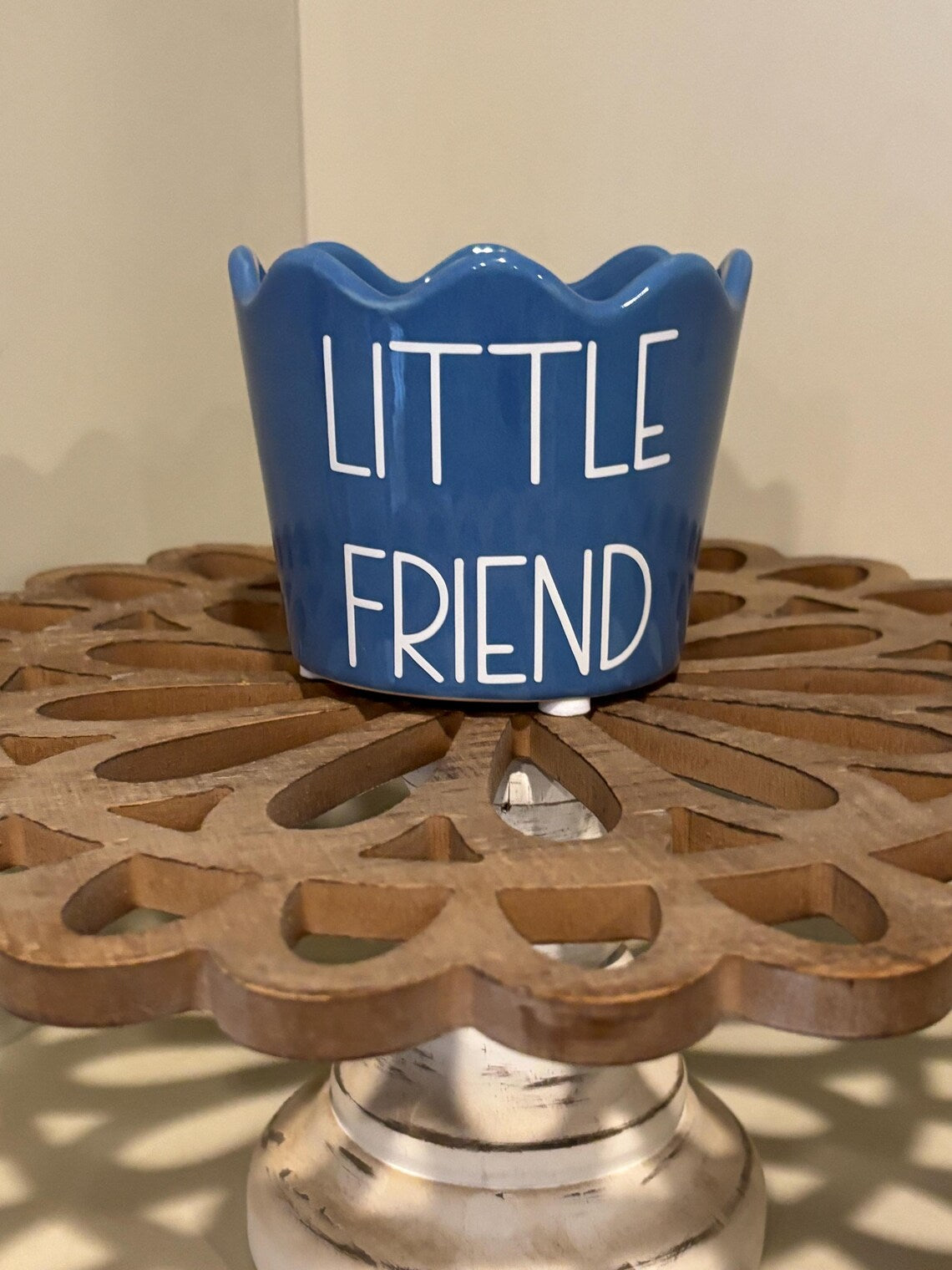 Set of Aloe Flower pots