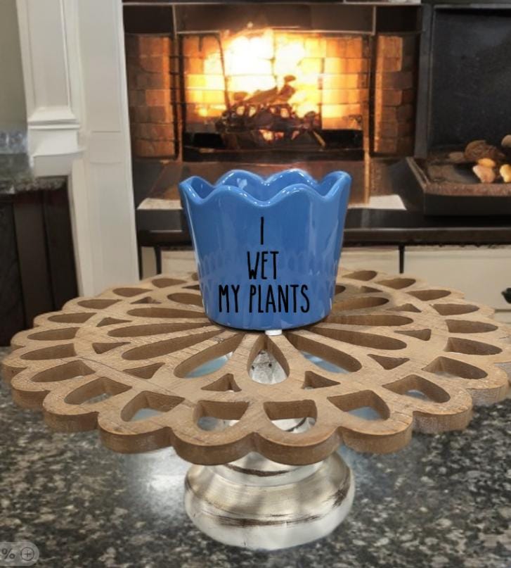 I wet my plants pot!