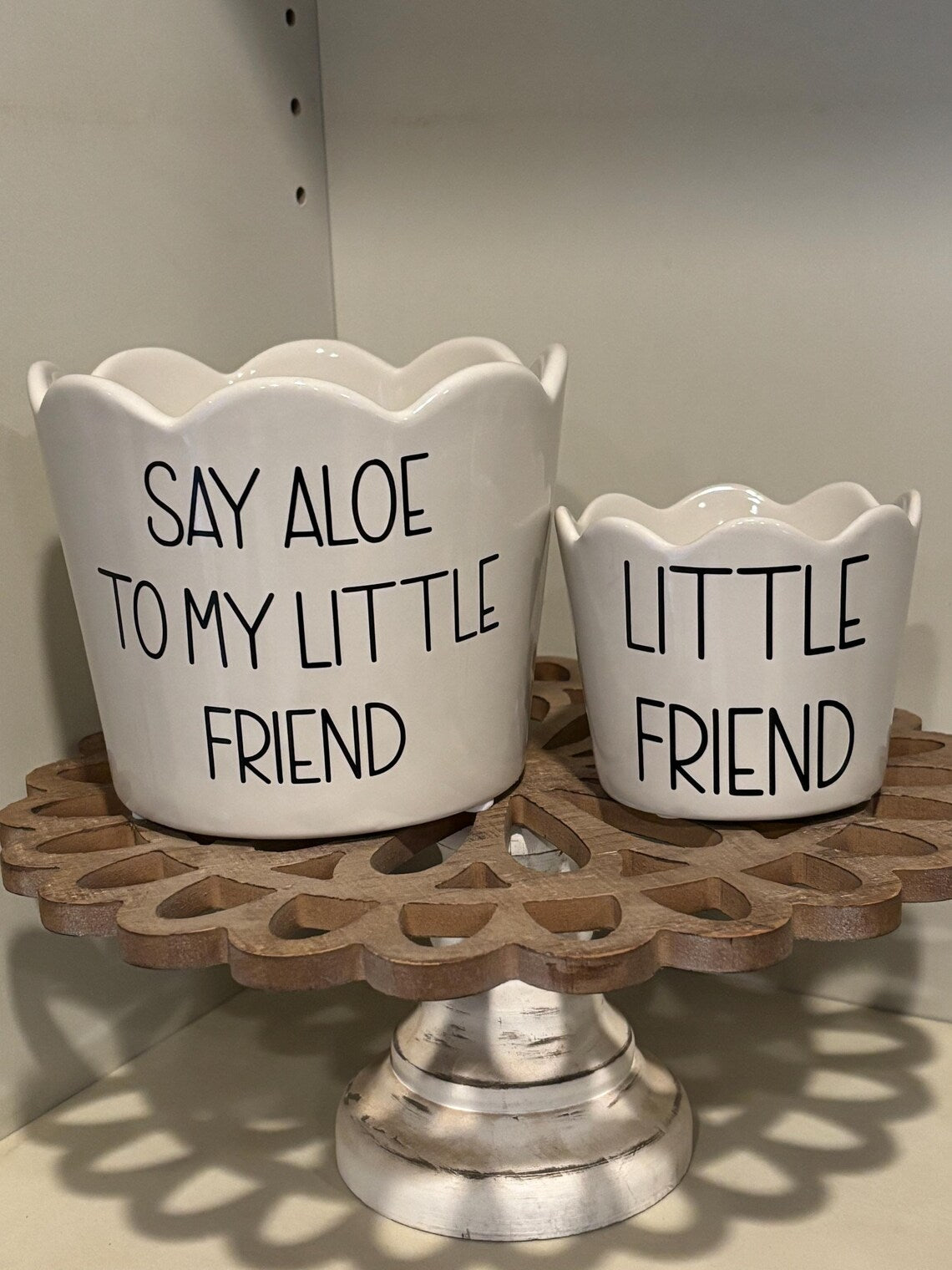 Set of Aloe Flower pots