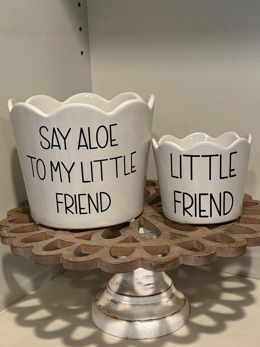 Set of Aloe Flower pots