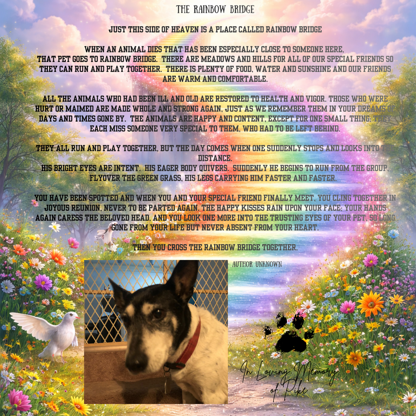 6x6 Glass Pet Memorial Tile