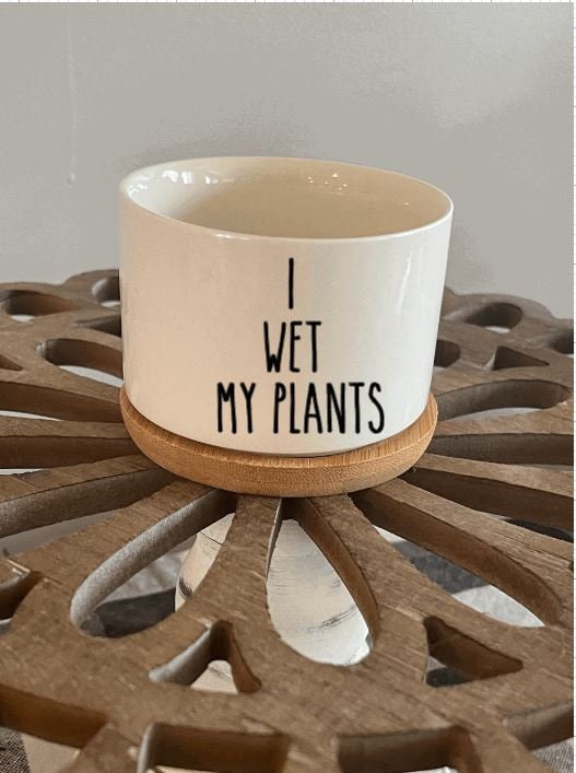 Small Succulent Pot with Bamboo Tray 3.15 inch