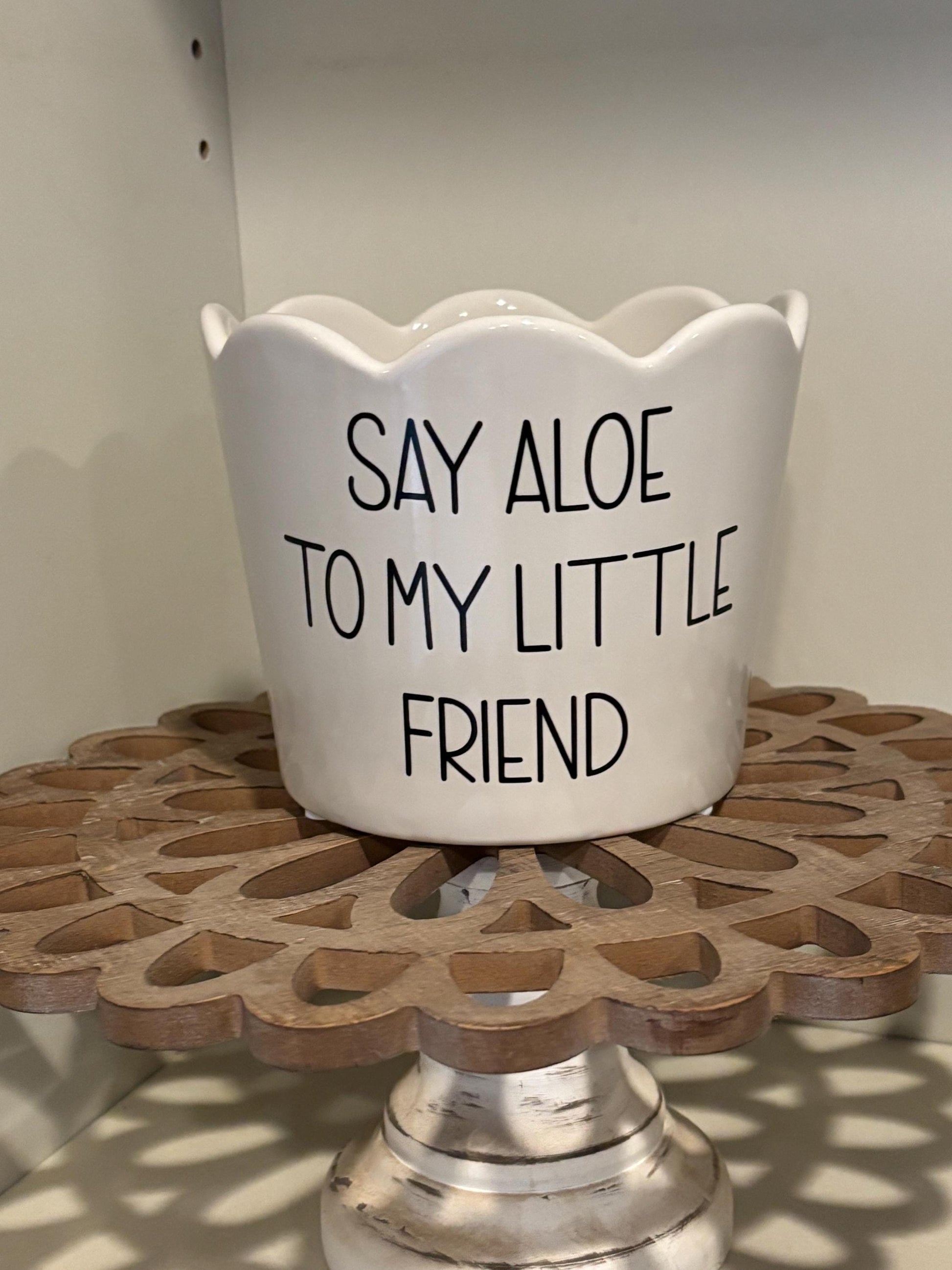 Set of Aloe Flower Pots!