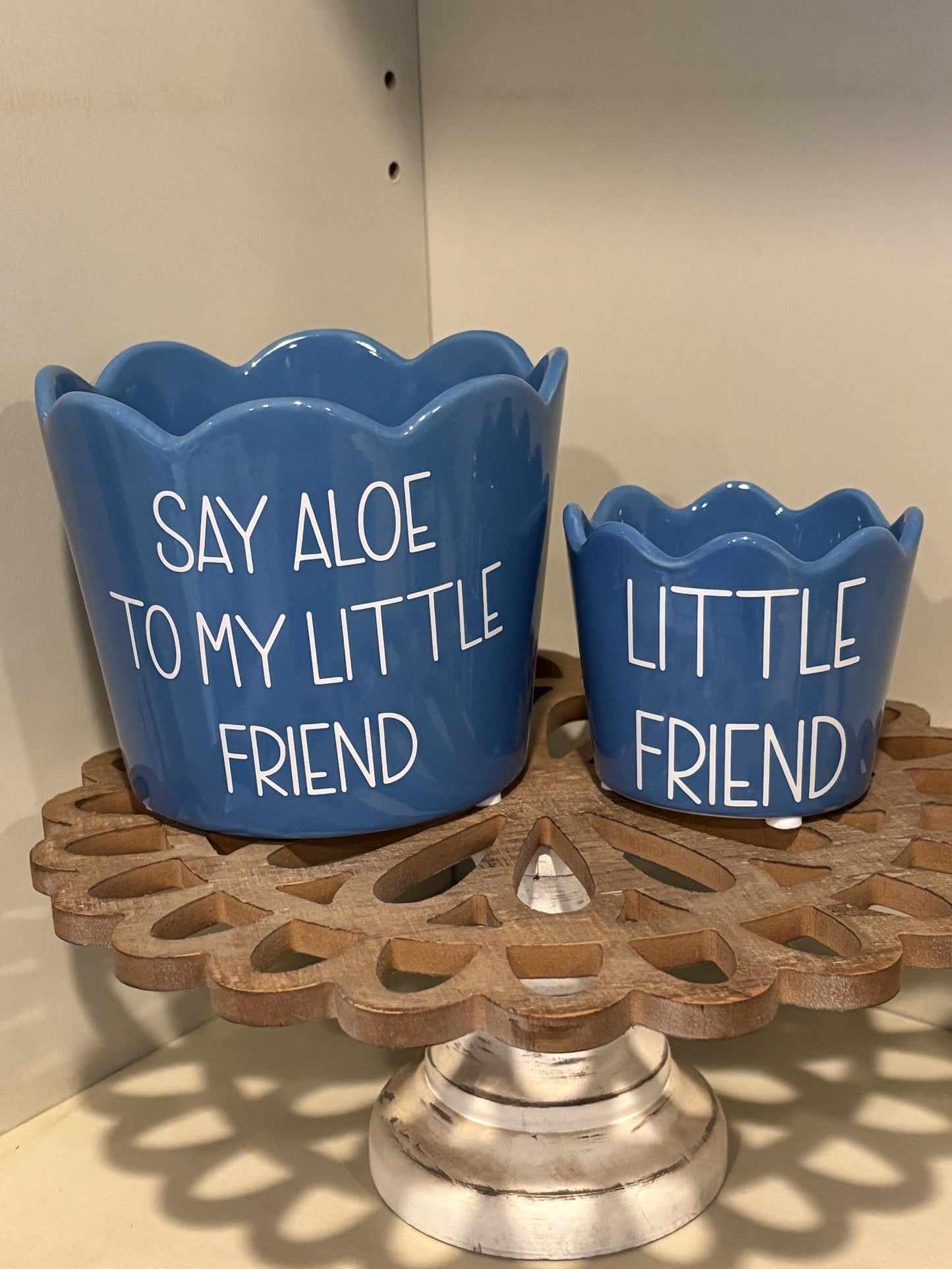 Set of Aloe Flower Pots!