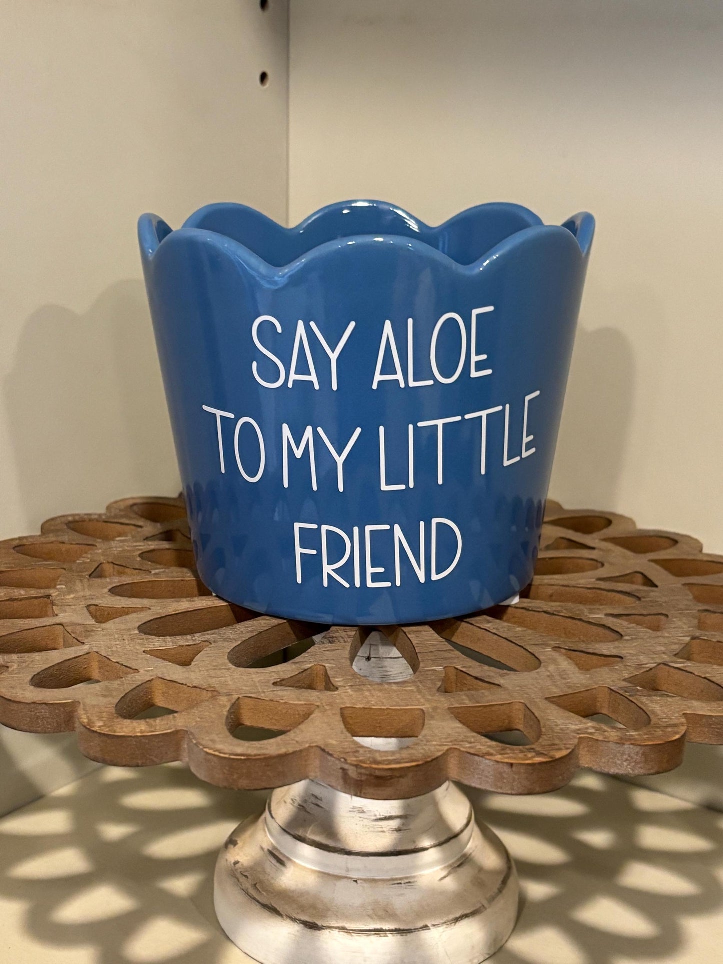 Set of Aloe Flower Pots!