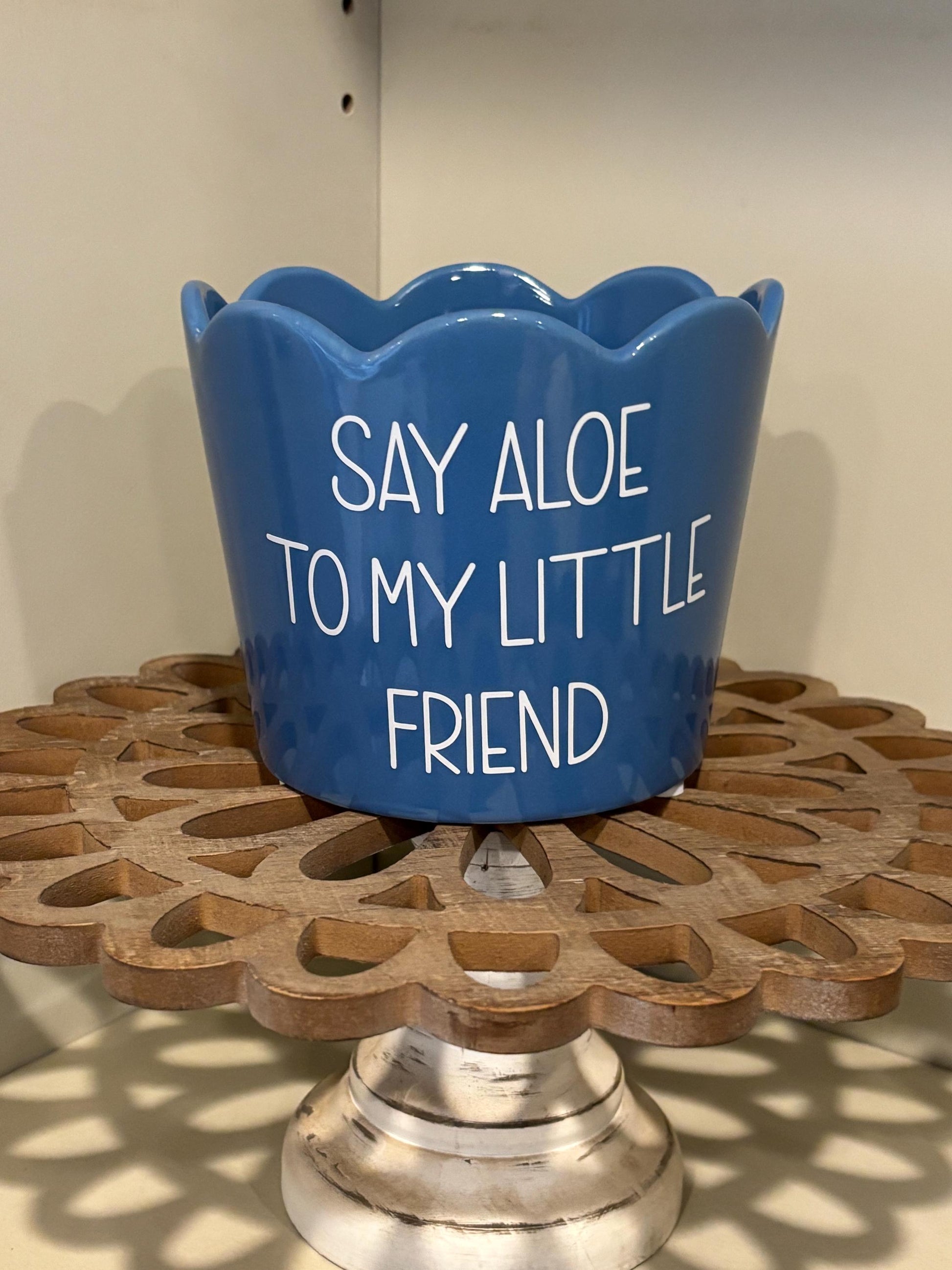 Set of Aloe Flower Pots!