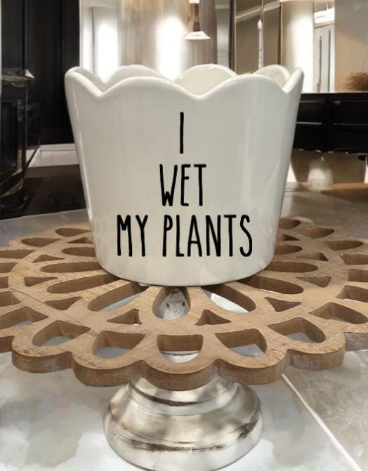 I wet my plants pot!