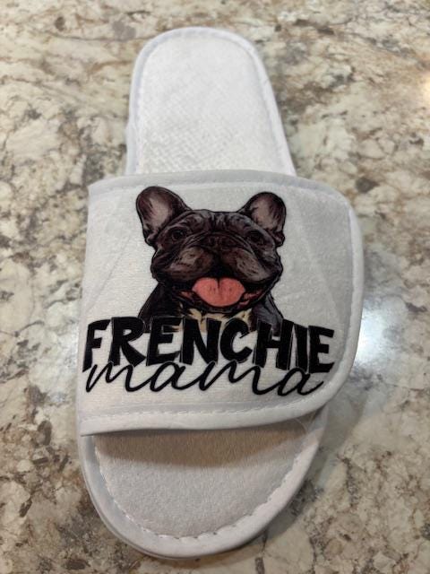 Dog/Cat Mom Slippers!